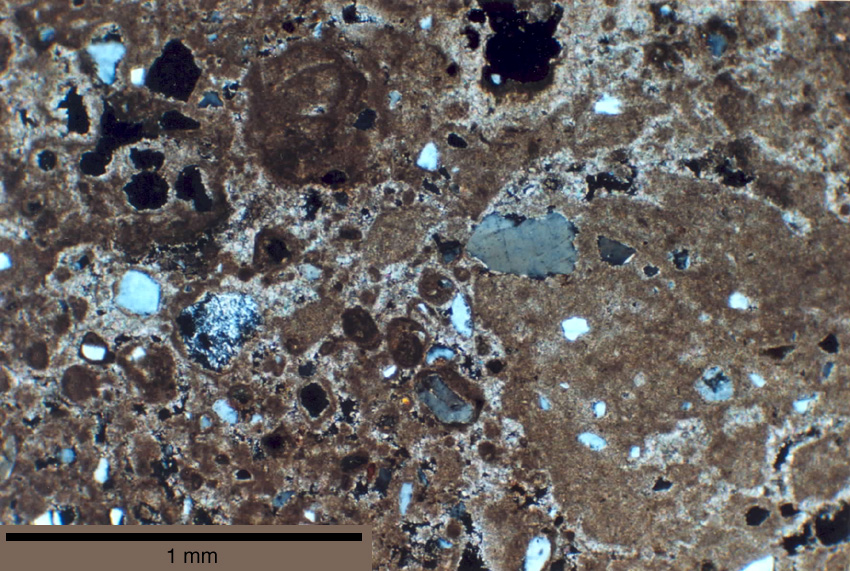 Thin-section image