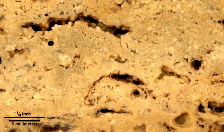 Detailed view of Piece of travertine